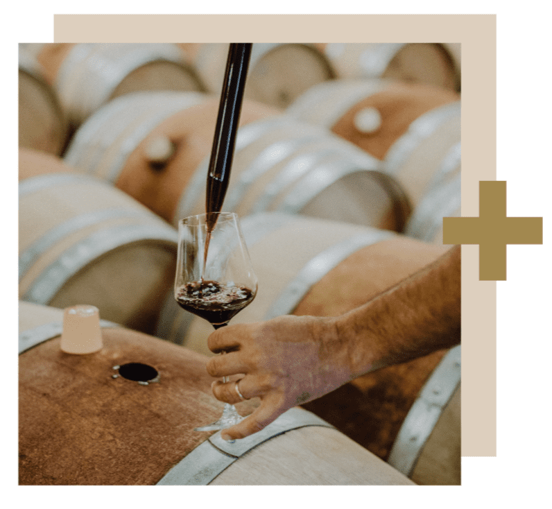 Eine Hand hält ein Glas Rotwein, das mit einer Pipette aus einem Holzfass entnommen wurde. Im Hintergrund sind Reihen von Fässern zu sehen, die eine rustikale Kulisse eines Weinguts vermitteln.