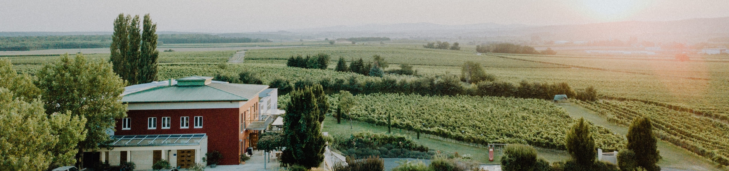 Luftaufnahme eines Weinbergs bei Sonnenuntergang, mit einem roten Gebäude mit grünem Dach inmitten von Weinstöcken, umgeben von üppigem Grün und fernen Hügeln.