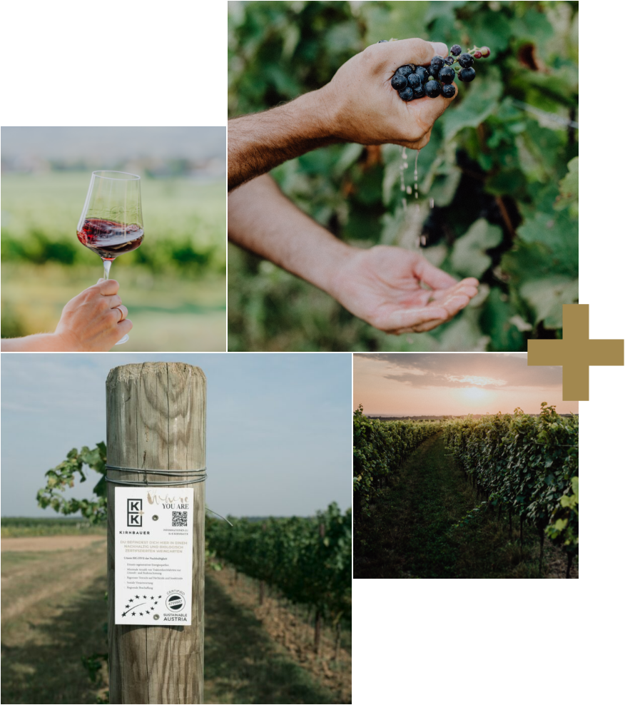 Nachhaltigkeit Collage 2025